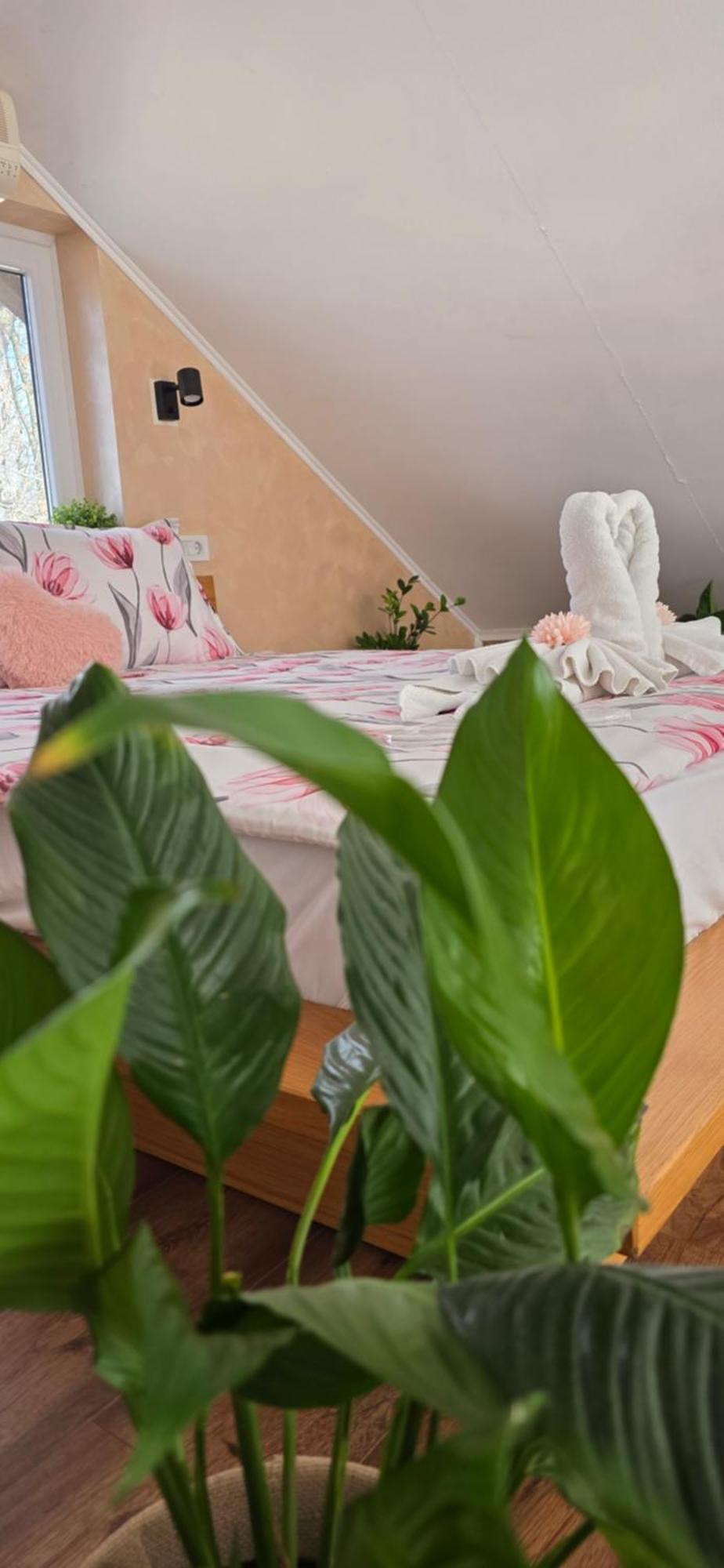 Villa Melani **** Oriovac Eksteriør billede